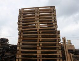 palet9-300x200